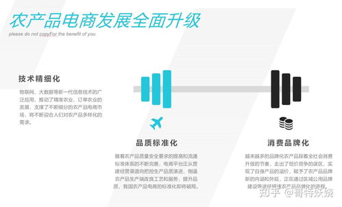 农产品电商直播基地项目商业计划书农产品电商直播基地方案怎么写