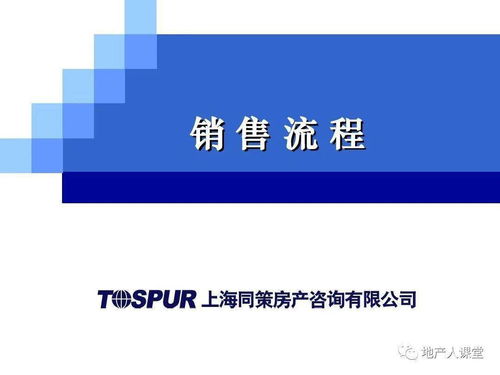 营销 同策置业顾问终极培训房地产销售流程ppt